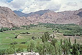 Ladakh - the valley of Phyang 